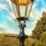 Не вывозят мусор 